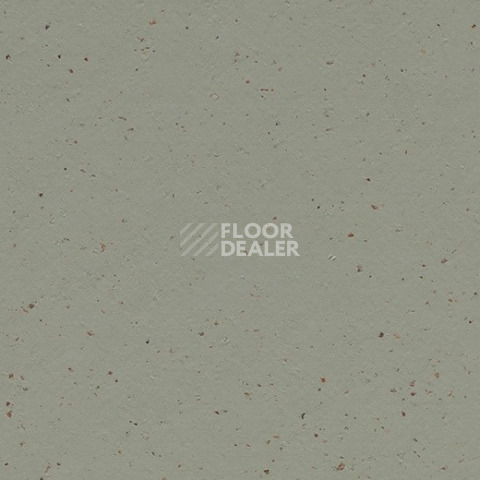 Линолеум Forbo Marmoleum Solid Cocoa 3588 eucalyptus фото 1 | FLOORDEALER