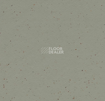 Линолеум Forbo Marmoleum Solid Cocoa 3588 eucalyptus фото 1 | FLOORDEALER