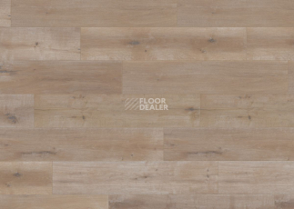 Terhurne Trend Line 243мм 1912 Дуб Барбершоп 1101020897 фото 3 | FLOORDEALER