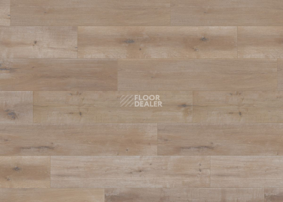 Terhurne Trend Line 243мм 1912 Дуб Барбершоп 1101020897 фото 3 | FLOORDEALER