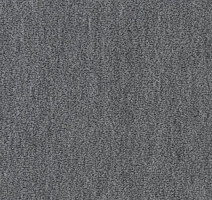 Ковролин Vorwerk Passion 1002 Vorwerk 5n13 фото 1 | FLOORDEALER