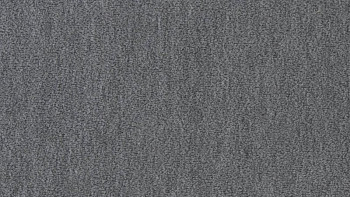 Ковролин Vorwerk Passion 1002 Vorwerk 5n13 фото 1 | FLOORDEALER