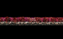 Desso Desert 4118 фото 4 | FLOORDEALER