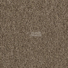 Ковролин Balsan Majestic 785 фото 1 | FLOORDEALER