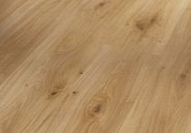 Ламинат Parador Basic Plus 200 1593723 Дуб Горизонт фото 1 | FLOORDEALER