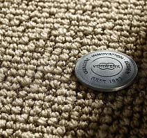 Ковролин Vorwerk Essential 1008 Vorwerk 8j20 фото 1 | FLOORDEALER