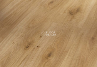 Ламинат Parador Basic Plus 200 1593723 Дуб Горизонт фото 1 | FLOORDEALER