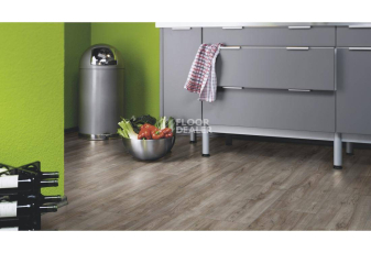 Kronotex Exquisit Plus d3662 Дуб Монтмело Серебряный фото 2 | FLOORDEALER