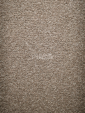 AW Westminster / Вестминстер 49 фото 5 | FLOORDEALER
