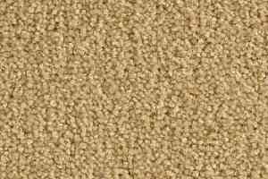 Ковролин Balsan Scenario 630 фото  | FLOORDEALER