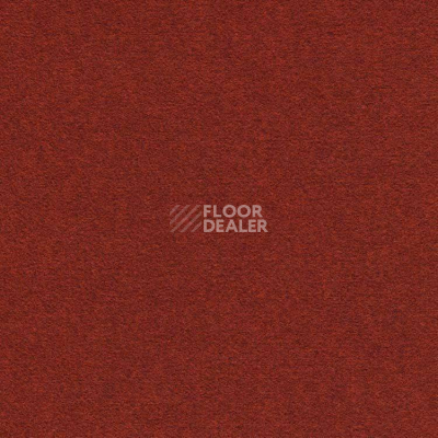 Ковролин Finett Feinwerk 503508 фото 1 | FLOORDEALER
