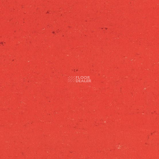 Colorette 0118 Power Red фото 2 | FLOORDEALER