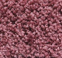 Big Sunset 874 фото 1 | FLOORDEALER