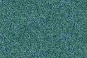 Ковролин Tapibel Spirit 8876 фото  | FLOORDEALER