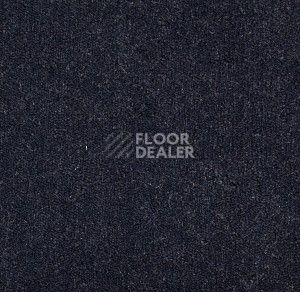 Ковролин Big Majesty 897 фото 1 | FLOORDEALER