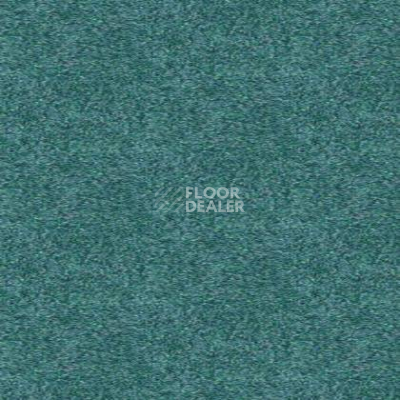 Ковролин Tapibel Spirit 8876 фото 1 | FLOORDEALER