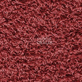 Ковролин AW Harlem 11 фото 1 | FLOORDEALER