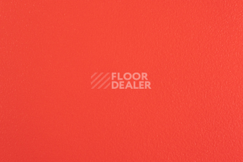 Линолеум Forbo SportLine Standart Fr 2070 фото 1 | FLOORDEALER