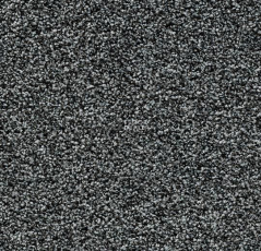 Forbo Coral Bright 2601 Clear Gravel фото 1 | FLOORDEALER