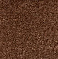 Ковролин Emphatic Beaulieu of America 56620 фото 1 | FLOORDEALER