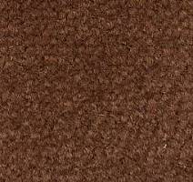 Ковролин Emphatic Beaulieu of America 56620 фото 1 | FLOORDEALER