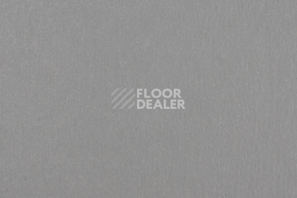 Линолеум Forbo Marmoleum Solid Walton 186-18635 lead фото 1 | FLOORDEALER
