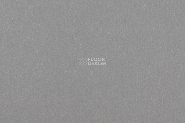 Линолеум Forbo Marmoleum Solid Walton 186-18635 lead фото 1 | FLOORDEALER