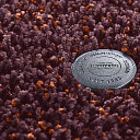 Ковролин Vorwerk Superior 1041 Vorwerk 1m92  | FLOORDEALER