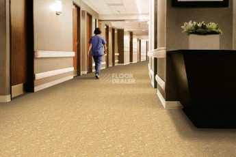 Nebula 1625 010 фото 2 | FLOORDEALER