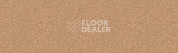 Линолеум Tarkett Tempo Plus 1006 фото 1 | FLOORDEALER