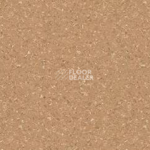 Линолеум Tarkett Tempo Plus 1006 фото 1 | FLOORDEALER