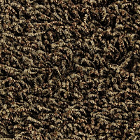 Edel Vivaldi 162 фото 1 | FLOORDEALER