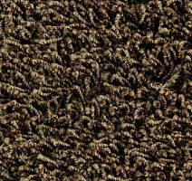 Ковролин Edel Vivaldi 162 фото 1 | FLOORDEALER