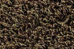 Ковролин Edel Vivaldi 162 фото  | FLOORDEALER