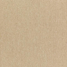 Shaw Momentum 02312 фото 1 | FLOORDEALER