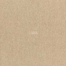 Shaw Momentum 02312 фото 1 | FLOORDEALER