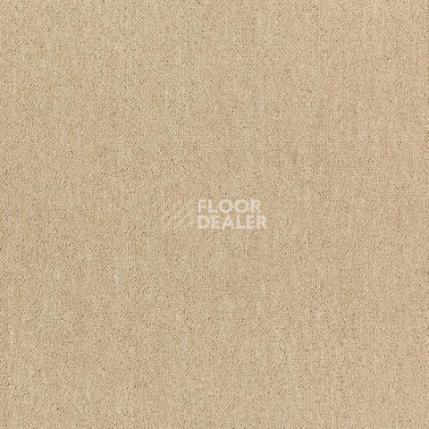 Ковровая плитка Shaw Momentum 02312 фото 1 | FLOORDEALER