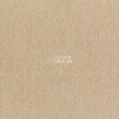 Ковровая плитка Shaw Momentum 02312 фото 1 | FLOORDEALER