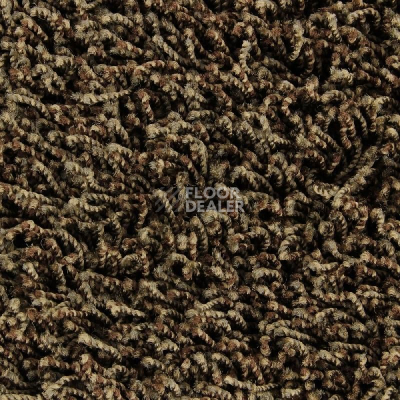 Ковролин Edel Vivaldi 162 фото 1 | FLOORDEALER