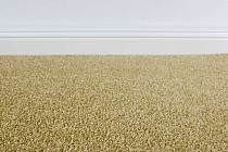 Ковролин ITC Satino Pissarro 52 фото 1 | FLOORDEALER