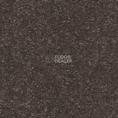 Ковролин AW Raffles 44 фото 1 | FLOORDEALER