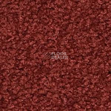 Ковролин Infloor Chiffon 150 фото 1 | FLOORDEALER