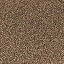 Ковролин Vorwerk Passion 1001 Vorwerk 7f81  | FLOORDEALER