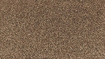 Ковролин Vorwerk Passion 1001 Vorwerk 7f81 фото 1 | FLOORDEALER