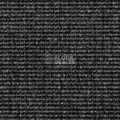 Ковролин Carpet Concept Eco Nic 691416 фото 1 | FLOORDEALER