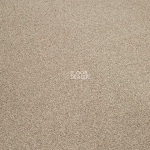 Condor Stockholm 72 фото 12 | FLOORDEALER