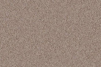 Ковролин Vorwerk Viola 8h49 фото 1 | FLOORDEALER