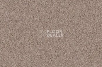 Ковролин Vorwerk Viola 8h49 фото 1 | FLOORDEALER