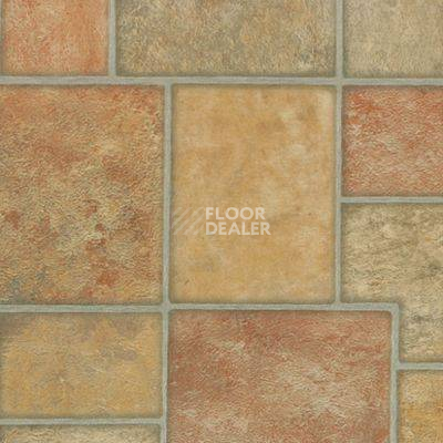 Линолеум Novoflor Standard 4630_4 фото 1 | FLOORDEALER