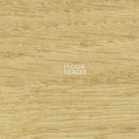 Линолеум Gerflor Recreation 30 Wood 6045_Golden_Wood фото 1 | FLOORDEALER